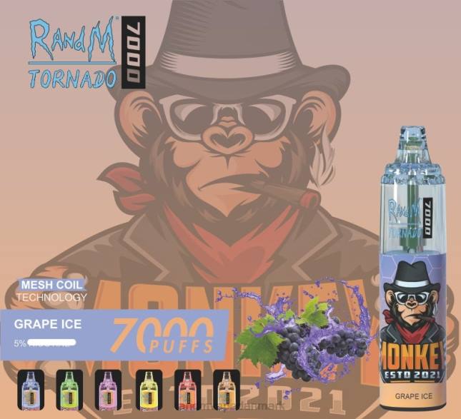 RandM Tornado 7000 luftstrømskontrol vape enhed 1 stk L06X173 drue is - RandM Vape Danmark